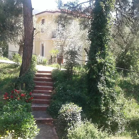 Olive Groove Олудениз